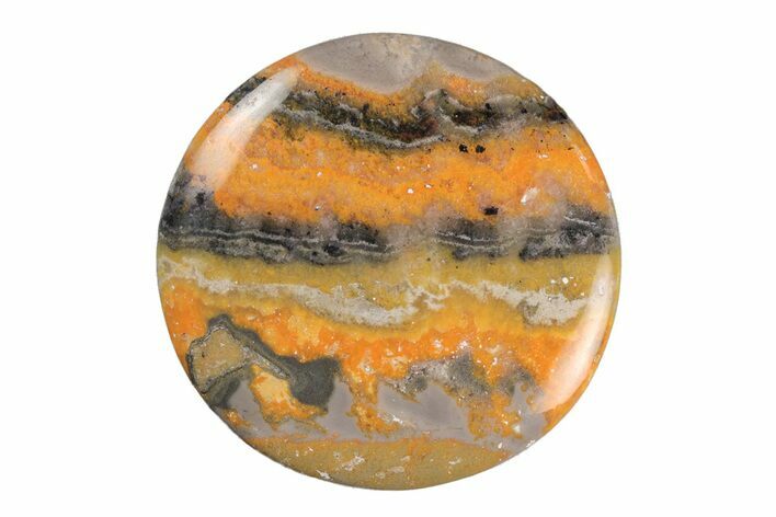 Polished, Bumblebee Jasper Round Cabochon - Indonesia #213962